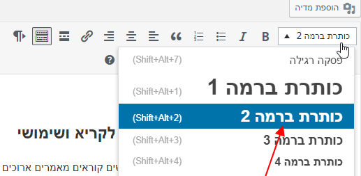 תוכן שימושי באתר וורדפרס - כותרות משנה תוכן שימושי באתר וורדפרס - כותרות משנה